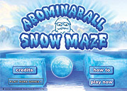 snow maze