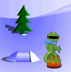 Gecko Snowboarding