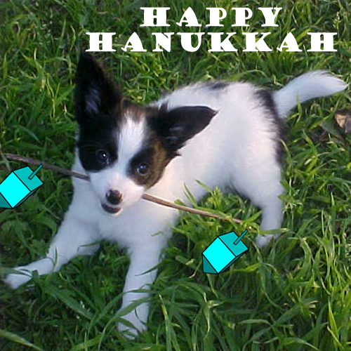 happy hanukkah!